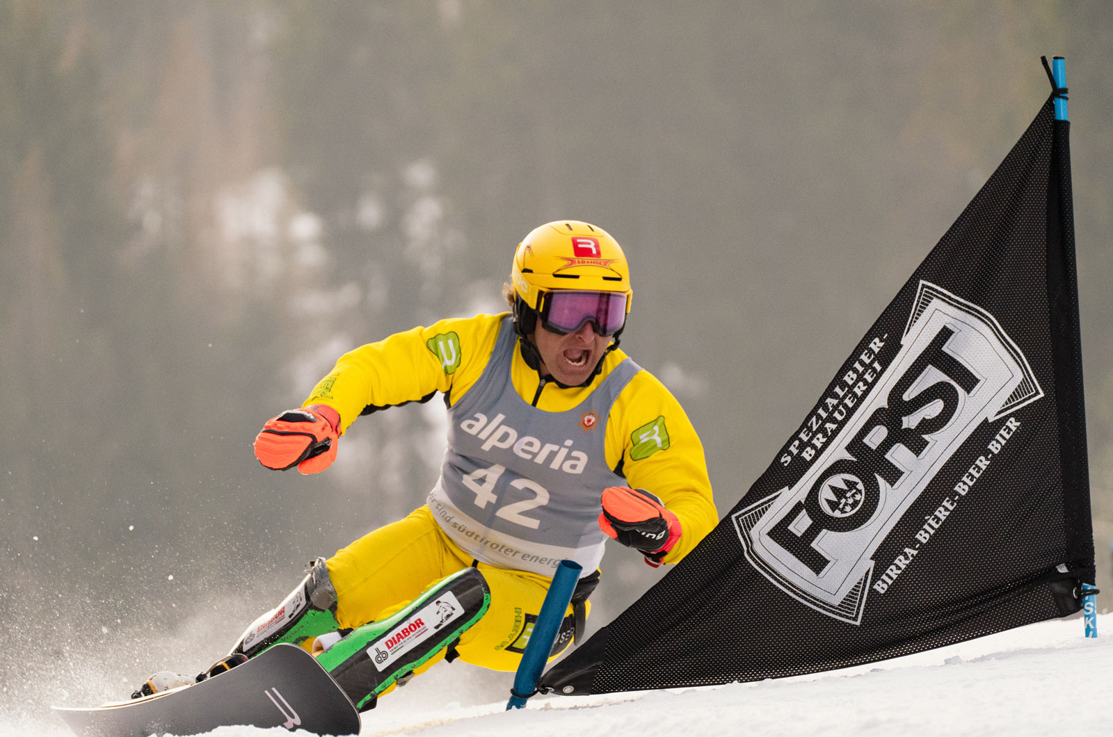 Rabansersnowboards